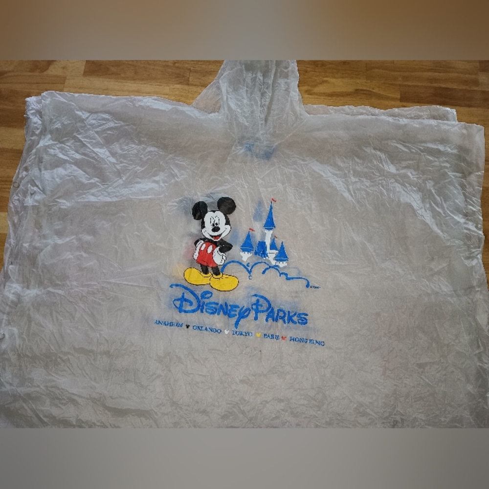 Disney world Poncho